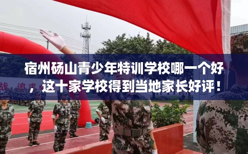 宿州砀山青少年特训学校哪一个好，这十家学校得到当地家长好评！
