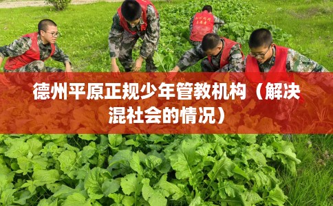 德州平原正规少年管教机构（解决混社会的情况）