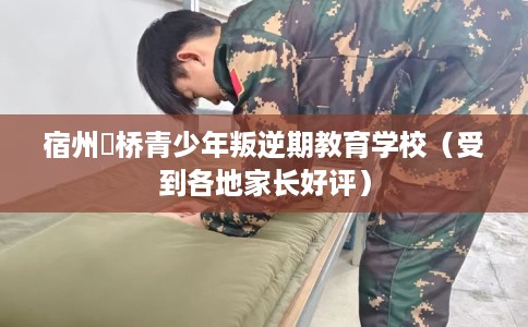 宿州埇桥青少年叛逆期教育学校（受到各地家长好评）