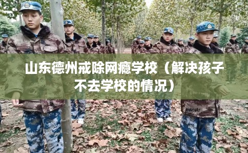 山东德州戒除网瘾学校（解决孩子不去学校的情况）
