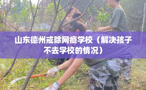 山东德州戒除网瘾学校（解决孩子不去学校的情况）
