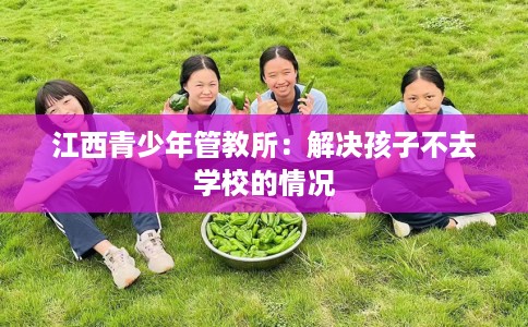 江西青少年管教所：解决孩子不去学校的情况