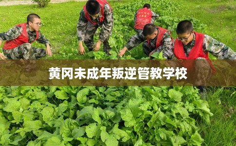 黄冈未成年叛逆管教学校
