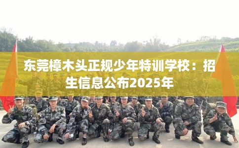 东莞樟木头正规少年特训学校：招生信息公布2025年