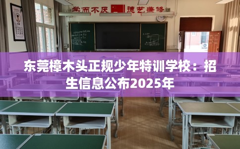 东莞樟木头正规少年特训学校：招生信息公布2025年
