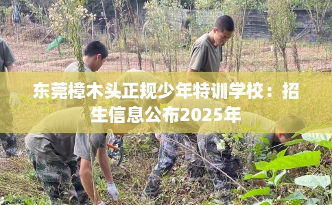 东莞樟木头正规少年特训学校：招生信息公布2025年
