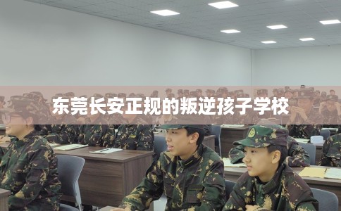 东莞长安正规的叛逆孩子学校