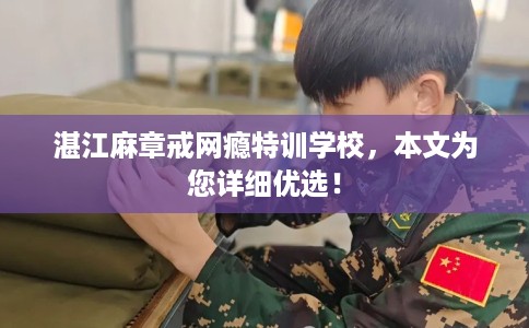 湛江麻章戒网瘾特训学校，本文为您详细优选！