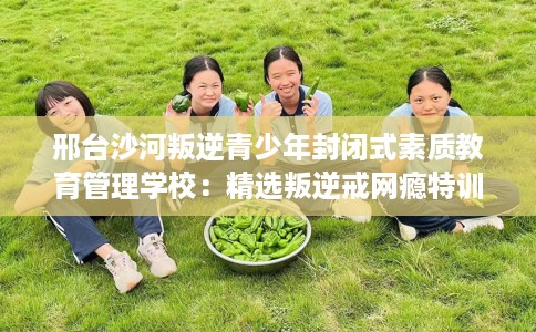邢台沙河叛逆青少年封闭式素质教育管理学校：精选叛逆戒网瘾特训学校