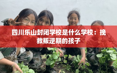 四川乐山封闭学校是什么学校：挽救叛逆期的孩子