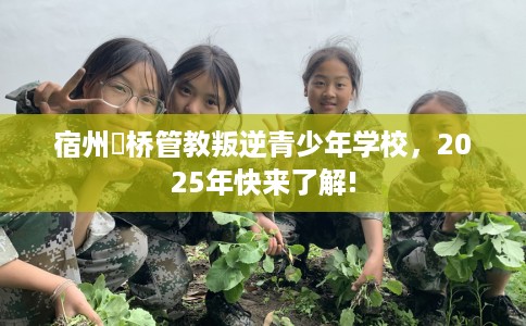宿州埇桥管教叛逆青少年学校，2025年快来了解!