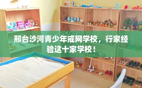 邢台沙河青少年戒网学校，行家经验这十家学校！