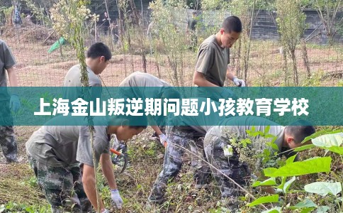 上海金山叛逆期问题小孩教育学校