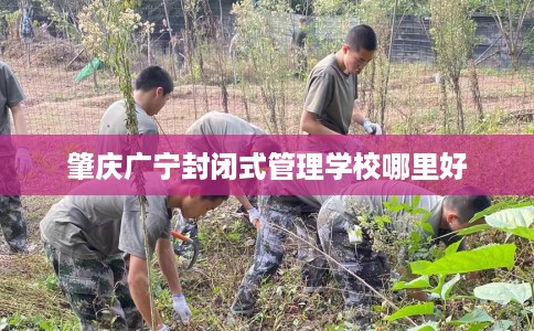 肇庆广宁封闭式管理学校哪里好