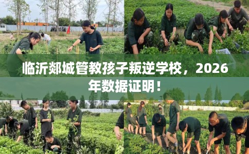 临沂郯城管教孩子叛逆学校，2026年数据证明！