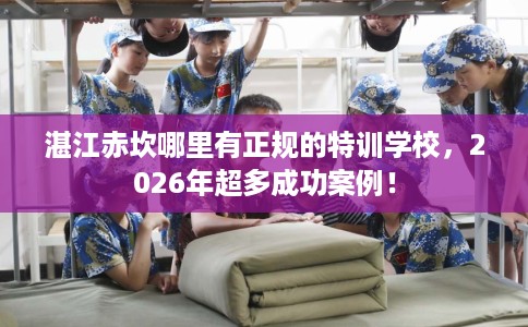 湛江赤坎哪里有正规的特训学校，2026年超多成功案例！