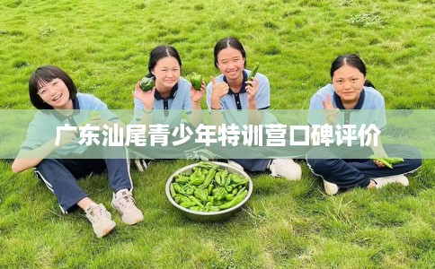 广东汕尾青少年特训营口碑评价
