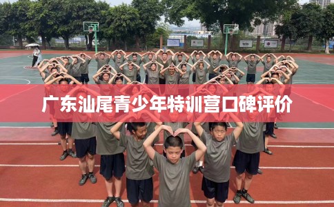 广东汕尾青少年特训营口碑评价