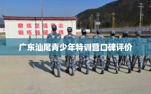 广东汕尾青少年特训营口碑评价