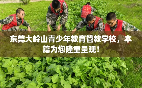 东莞大岭山青少年教育管教学校，本篇为您隆重呈现！