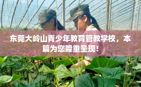 东莞大岭山青少年教育管教学校，本篇为您隆重呈现！