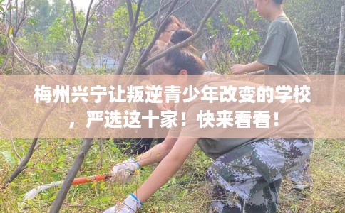 梅州兴宁让叛逆青少年改变的学校，严选这十家！快来看看！
