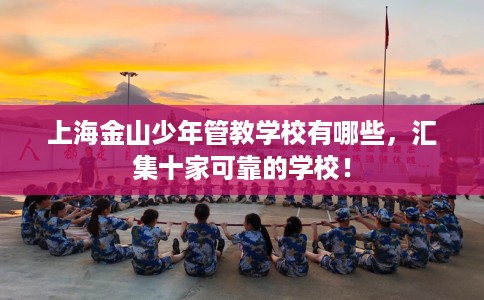 上海金山少年管教学校有哪些，汇集十家可靠的学校！