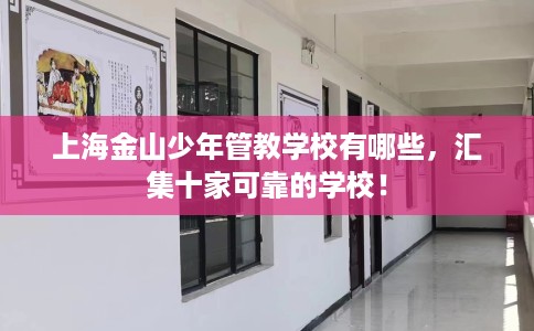 上海金山少年管教学校有哪些，汇集十家可靠的学校！