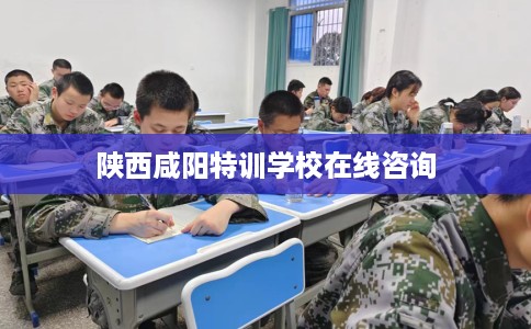 陕西咸阳特训学校在线咨询