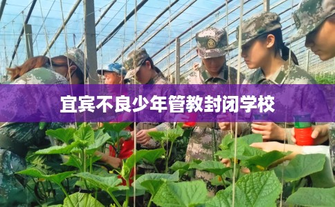 宜宾不良少年管教封闭学校 宜宾不良少年管教封闭学校