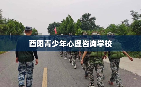 酉阳青少年心理咨询学校