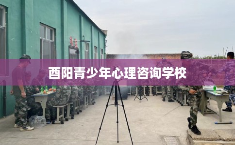 酉阳青少年心理咨询学校