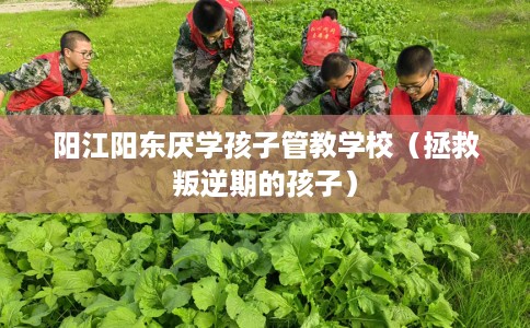 阳江阳东厌学孩子管教学校（拯救叛逆期的孩子）