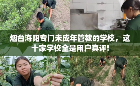 烟台海阳专门未成年管教的学校，这十家学校全是用户真评!