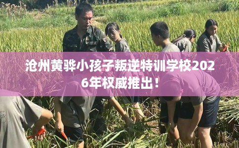 沧州黄骅小孩子叛逆特训学校2026年权威推出! 沧州黄骅小孩子叛逆特训学校2026年权威推出!