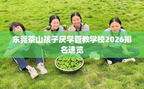 东莞茶山孩子厌学管教学校2026排名速览