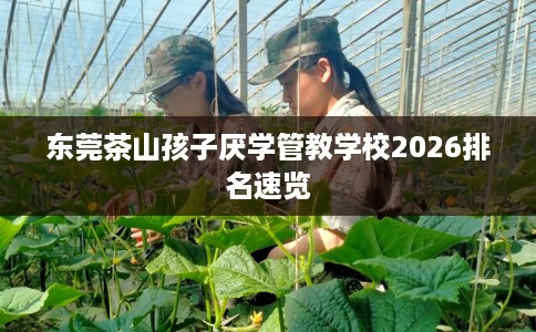 东莞茶山孩子厌学管教学校2026排名速览