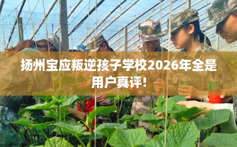 扬州宝应叛逆孩子学校2026年全是用户真评!