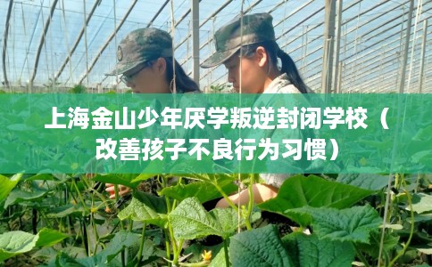 上海金山少年厌学叛逆封闭学校（改善孩子不良行为习惯）