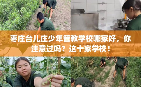 枣庄台儿庄少年管教学校哪家好，你注意过吗？这十家学校！