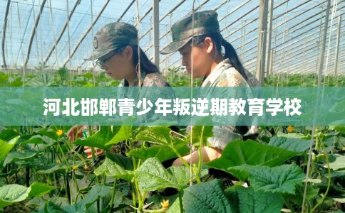 河北邯郸青少年叛逆期教育学校