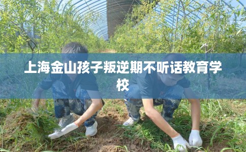 上海金山孩子叛逆期不听话教育学校