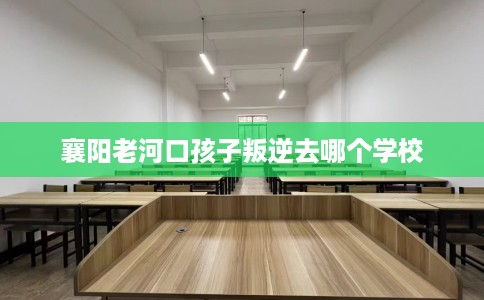 襄阳老河口孩子叛逆去哪个学校