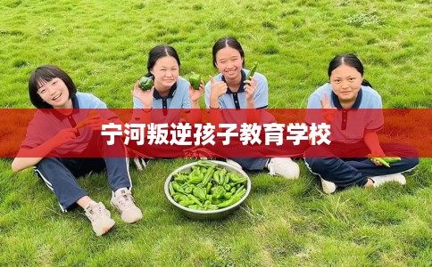 宁河叛逆孩子教育学校