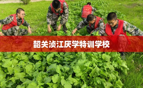 韶关浈江厌学特训学校