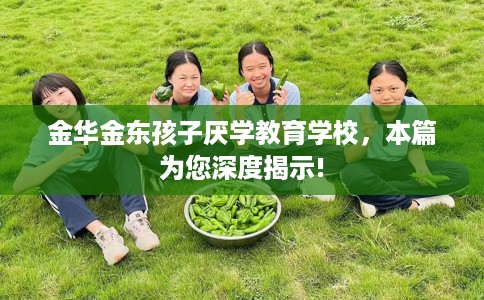 金华金东孩子厌学教育学校，本篇为您深度揭示!