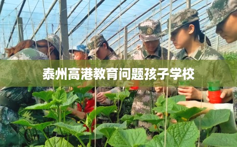 泰州高港教育问题孩子学校