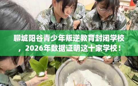 聊城阳谷青少年叛逆教育封闭学校，2026年数据证明这十家学校！