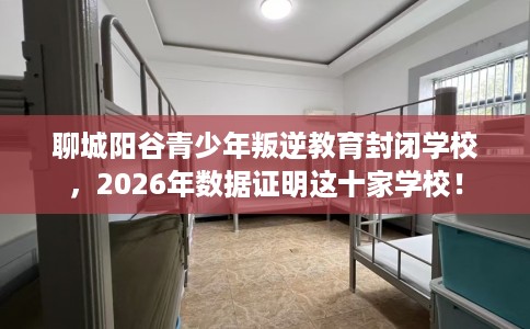 聊城阳谷青少年叛逆教育封闭学校，2026年数据证明这十家学校！