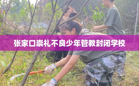 张家口崇礼不良少年管教封闭学校